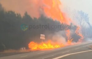 Как построить огнестойкий дом - возгорание сухостоя